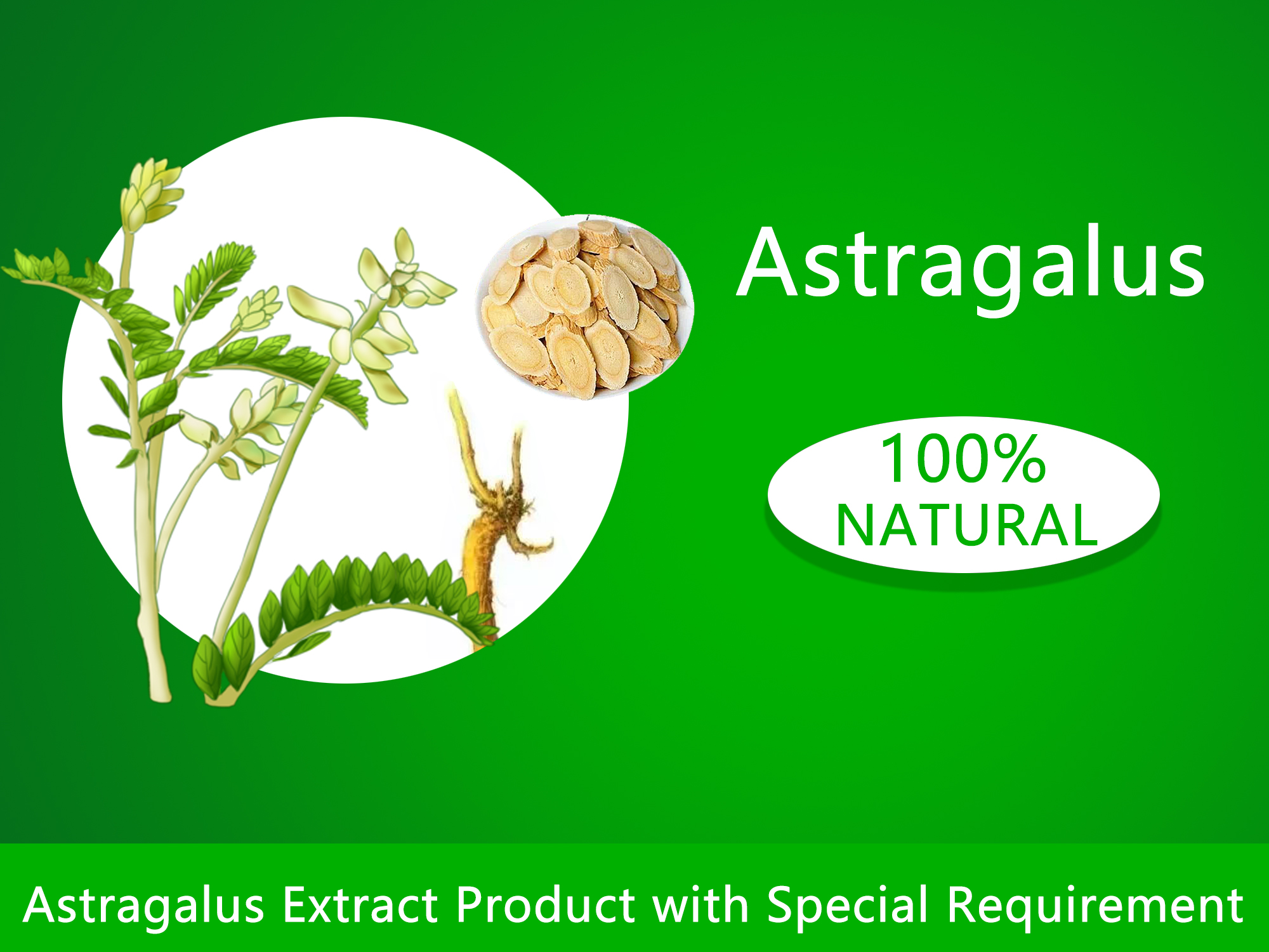 Astragaloside