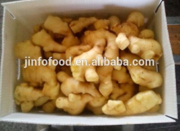 2014 new crop Chinese fresh ginger