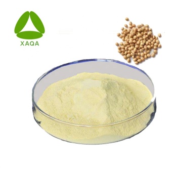 Soybean Seed Extract Soy Isoflavone Powder