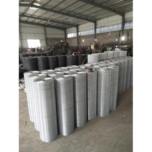 Galvanized Welded Wire Mesh Galvanized Welded Wire Mesh Roll Garden Fence Supplier