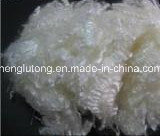 Hollow Conjugated No- Silicon Polyester Staple Fiber with 15D X 51mm