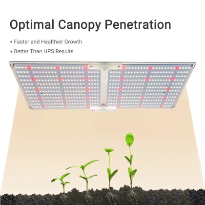 240W G2000 Full Spectrum LED Grow Light with Dimmer Knob