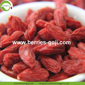 Factory Wholesale Super Food Nutrition Malaysia Goji Berries