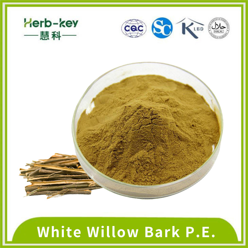 50% white willow bark extract light yellow powder