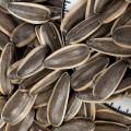 New crop high quality sunflower seeds 361 from Inner Mongolia