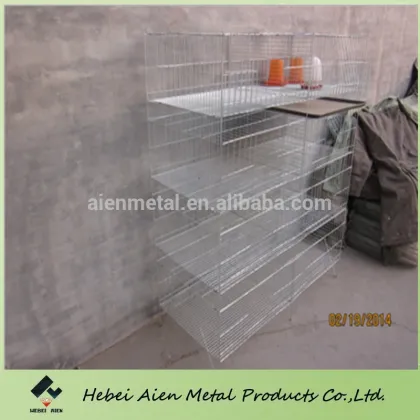 wire mesh chick cage for little chick