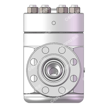 Lift Check Valve