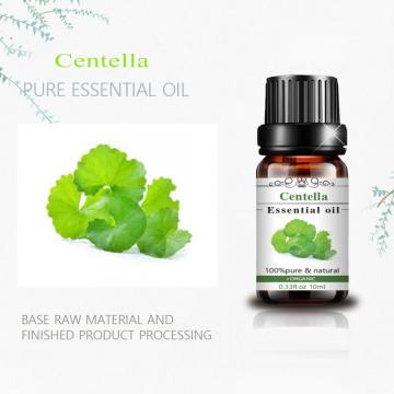 Óleo Centella Essential Óleo 100% Puro Óleo Naturais Orgânico