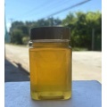 Чысты сырой мёд з кветак ліпы