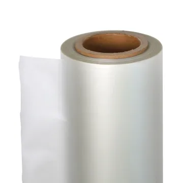 Custom Size Embossing PA PE Vacuum Bag Film Roll