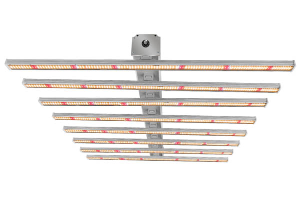 pająk rośnie światło spider grow light