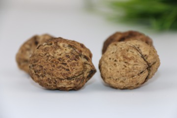 Non-GMO Unwashed In-Shell Walnuts