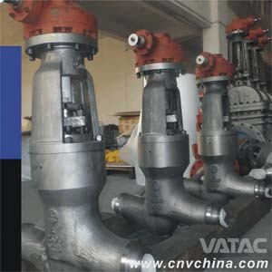 Cast & Forged Bw Globe Valve