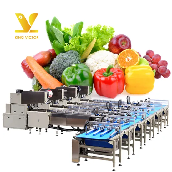 Automatic Professional Vegetable and Fruit Packaging Line Machine