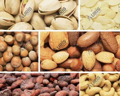 50-500kg Gas Electric 110V Cocoa Bean, Peanuts, Pistachios Roasting Machine