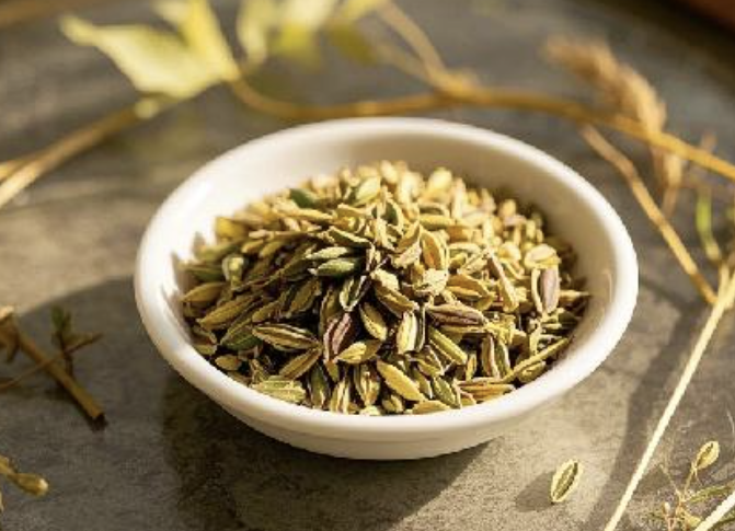 Fennel Extract Supplier
