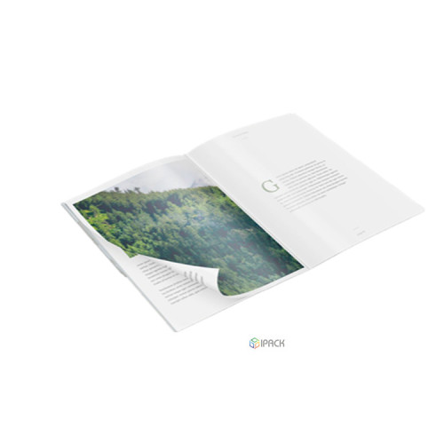 Custom Booklet Printing Brochure Photo Picture Album