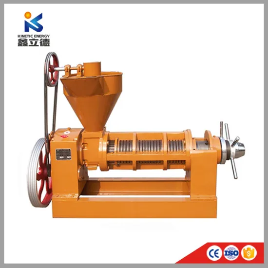 Factory 6yl-60 Cold Pressed Coconut, Soybean, Peanut, Walnut, Oil Spiral Machine Oil Presser Pressing Machine