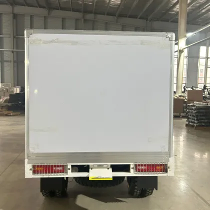 Durable Special Tricycle with Secure Cargo Box