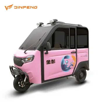 EEC Approved Enclosed Electric Mini Scooter Tricycle with Roof for Adults