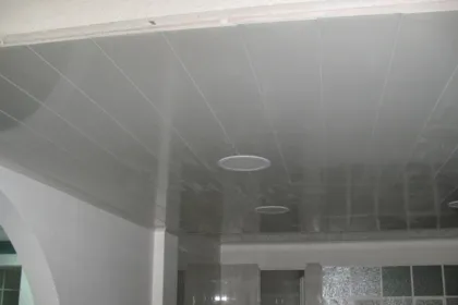 blanco brillante Tablilla cielo raso en PVC Cieloraso Plastico todo