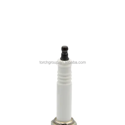 Hot Selling Torch Industrial R1B12-76 Spark Plug - Champion RB76N RB76PP
