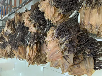 seafood frozen bulk dried smoked squid