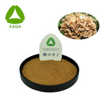 Maitake Mushroom Extract Powder 10: 1