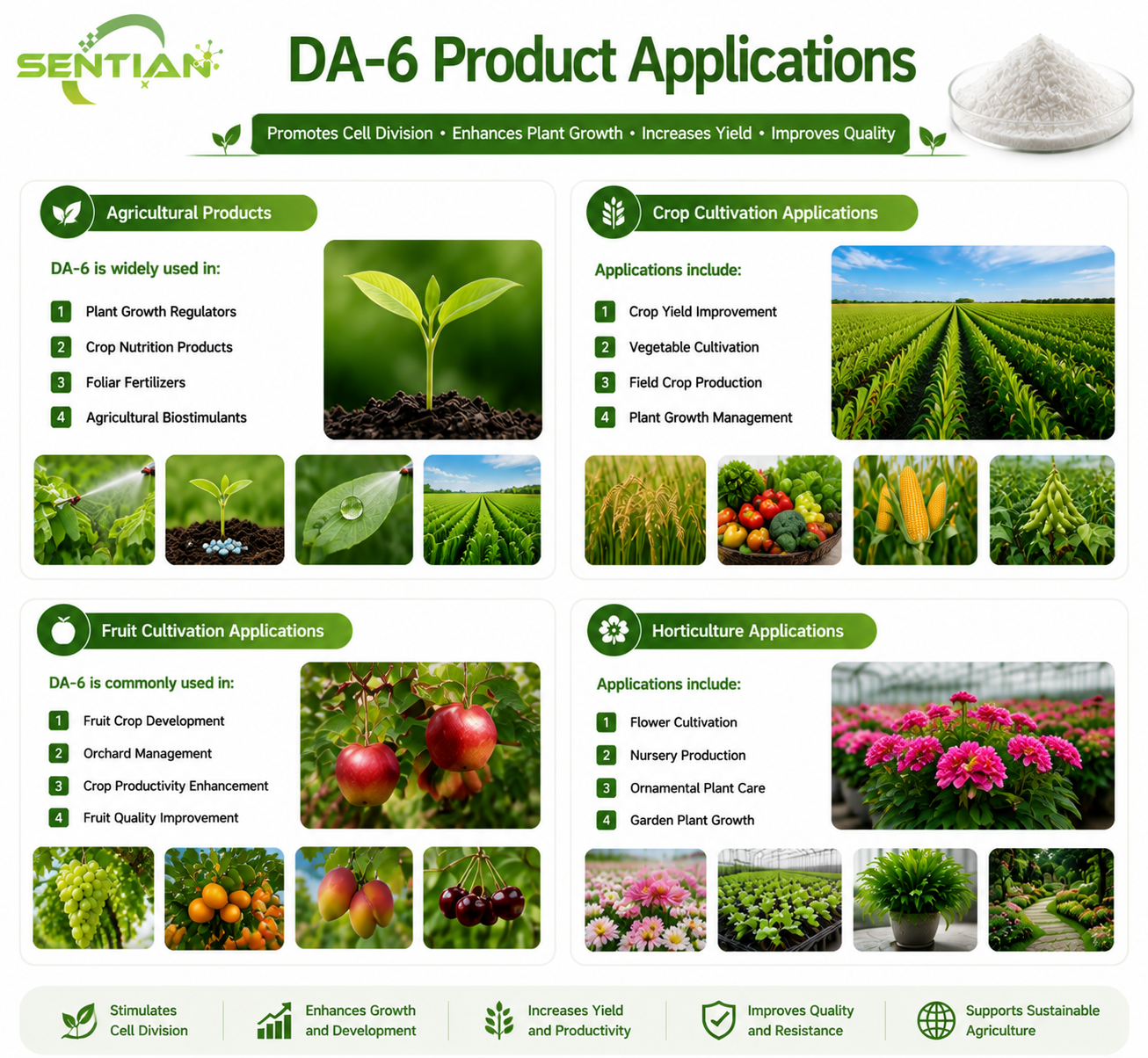 DA-6（1）