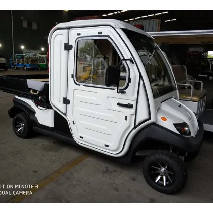 Electric Utility Vehicles for Elderly in EG Chinatown Neighborhood