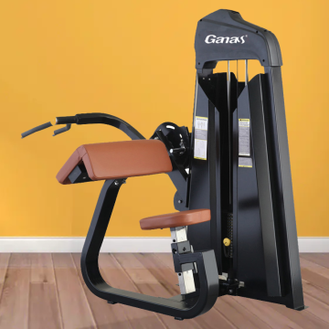 Luxury Triceps Extension Machine for Gym Fitness