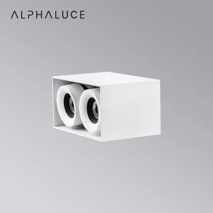 DALI Dimmable Square Mounted Washer Downlight Surface Double Head LED Down Light