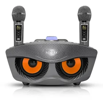Hochqualität 20W Bass Sound Family KTV SD306PLUS Tragbarer Karaoke -Lautsprecher mit Dual -Mikrofonen