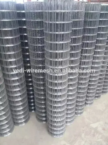 Square Welded Wire Mesh for concrete reinforcing