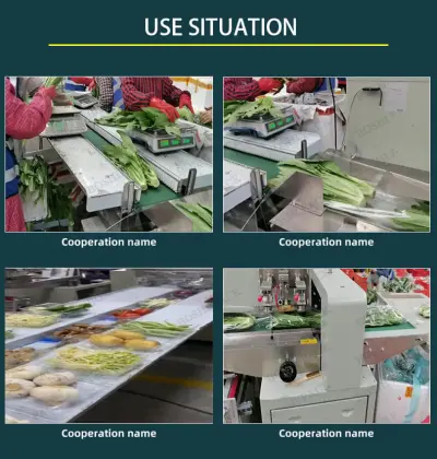 Seaweed Packaging Machine