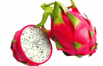Best dragon fruit powder pitaya extract