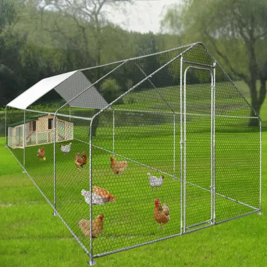 Walk in Chicken Run Large Outdoor Chicken Enclosure
