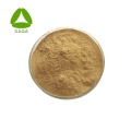 Fermentation Bacillus Subtilis Powder With Competitive Price