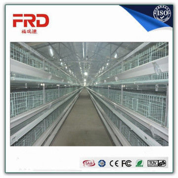 Trade assurance 100% payment guarantee factory supply layer egg chicken cage/poultry farm house design