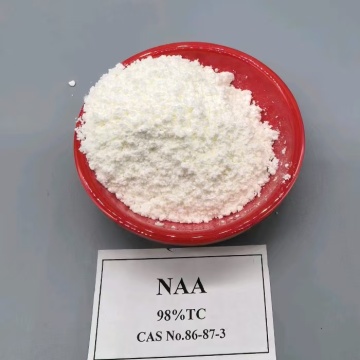 ใช้กรด 1-Naphthaleneacetic NAA ในอเมริกาใต้