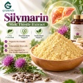 Silimarina 80% Extrato de Cardo Mariano com 30% –50% de Silibina
