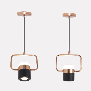 LEDER Metal Hanging Light Fixtures