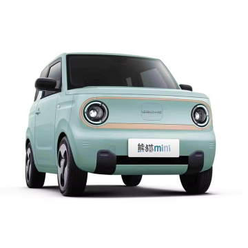 Geely Panda Mini EV: 2024's Top Selling Electric Car with 120km Range - New Energy Vehicle