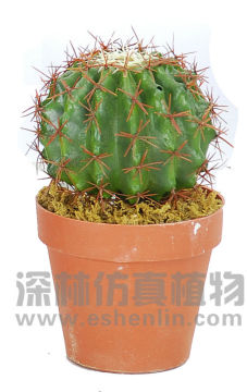 artificial cactus