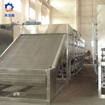 multi layer Belt Dryer untuk Fresh Pleurotus Eryngii