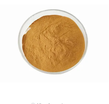 Pure Mogroside V Monk Fruit Extract