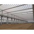 Steel Frame Structure Warehouse