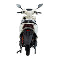 OEM Customised E-Moto z podwójnymi hamulcami tarczowymi i CKD/SKD