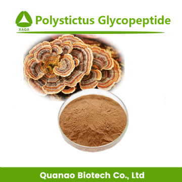 Coriolus Versicolor Extract Polystictus Glycopeptide Powder