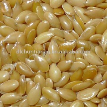 Chinese flax seeds/linseeds